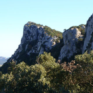 DSC04526.jpg