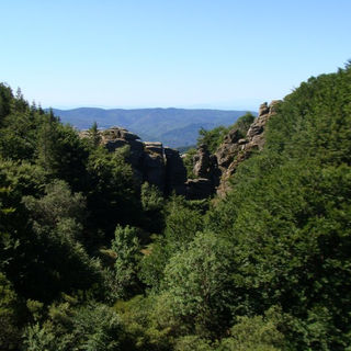 DSC05246.JPG