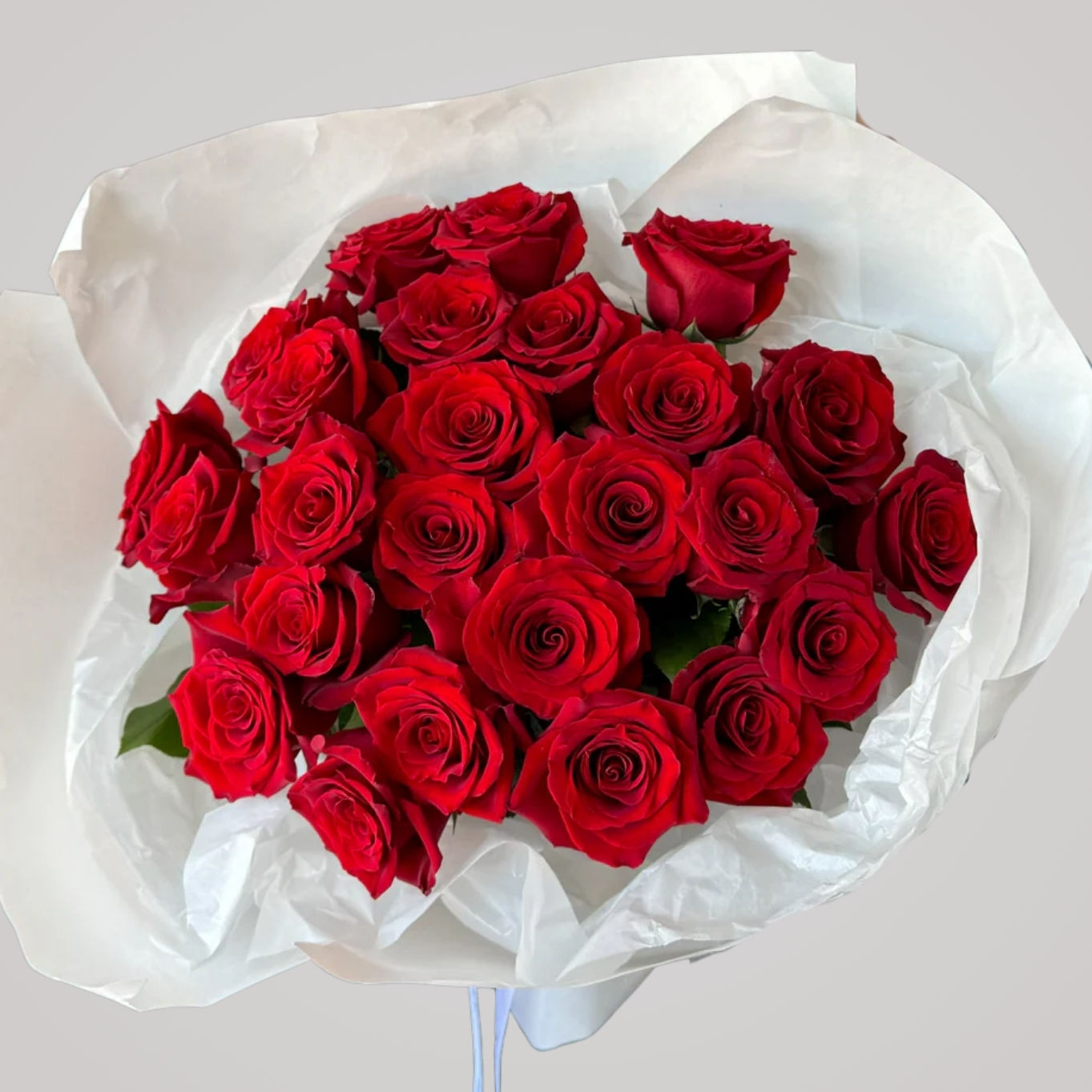 Stor buket med ca. 75 røde Explorer roser pakket i lyst papir