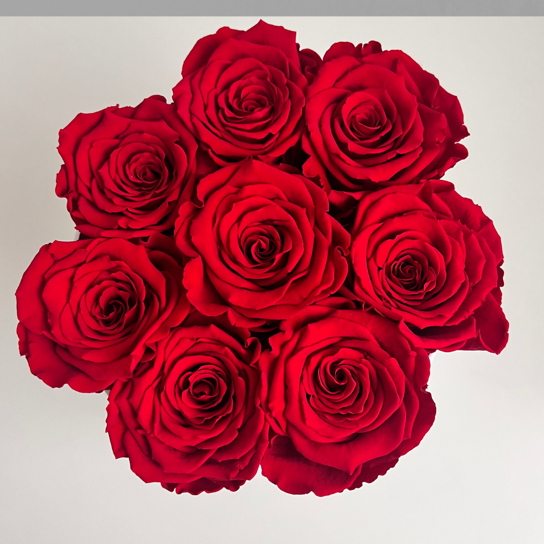 Evige Rosen: 8 Bevarede Roser i Æske