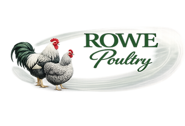 Rowe Poultry logo with Wyandottes.png