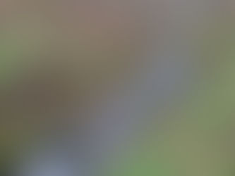 Spendenlauf Tag 8: Gemeinsam durch Regen & Wind