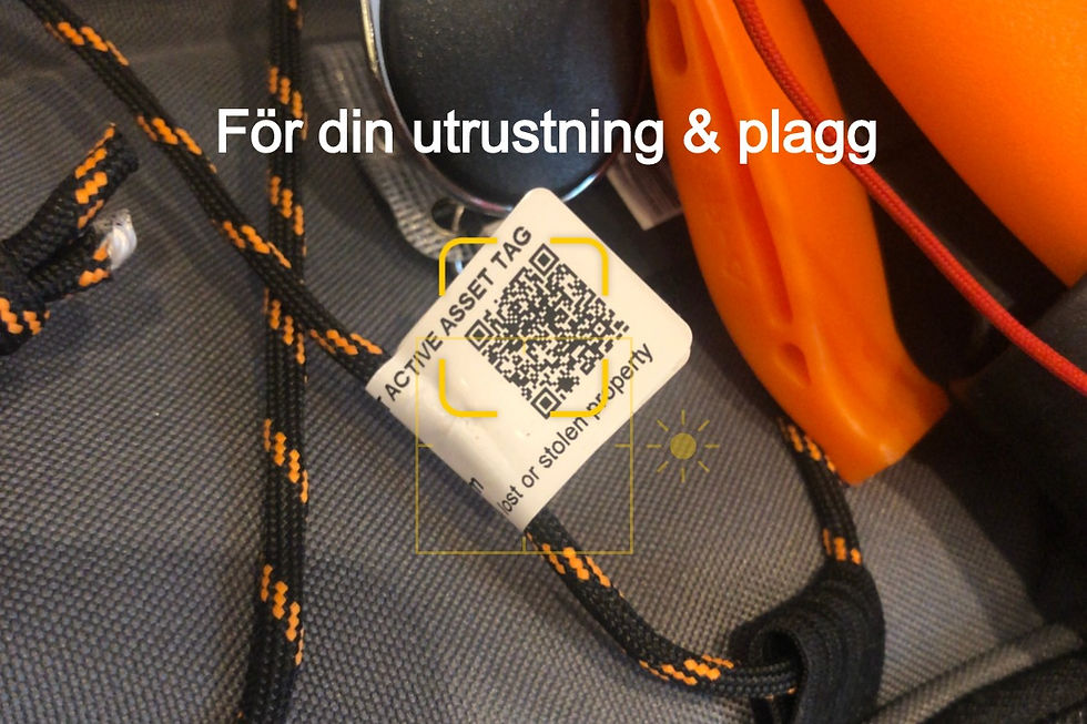 Miniatyrbild: DIGTAG ID-Dekal med spårningskod 20 st 60x22 mm