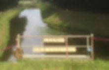 IMG_3806.jpeg