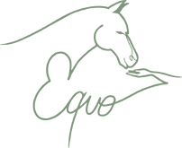 logo_v1_green.png