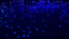 vivid-3079201_1280.jpg