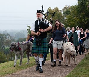 Celtic dog taking part in the Austin Celtic Festival animal program