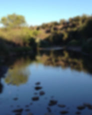 resize.jpeg