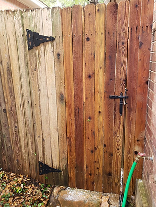 FENCE.png
