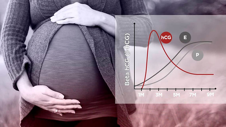 Instituto_Bernabeu_Tabla-de-valores-para-Beta-hCG-β-hCG.jpg
