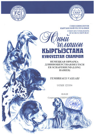 Васька.jpeg