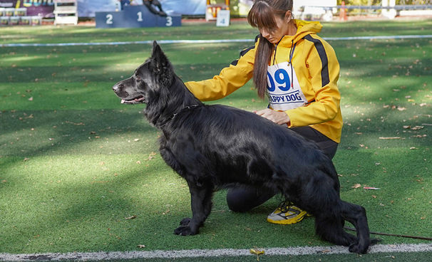 DSC09488 — копия (2).jpg