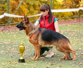 139A44031 — копия.jpg