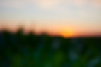 Sonnenuntergang-20-06-25-007┬®Pollert.jpg