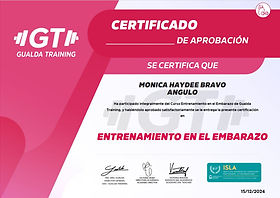 Certificado entreno en embarazo.jpg