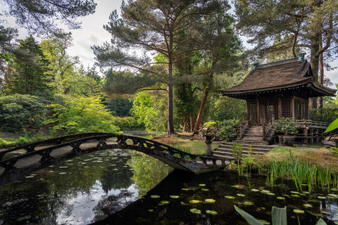 Gardens and everything in them