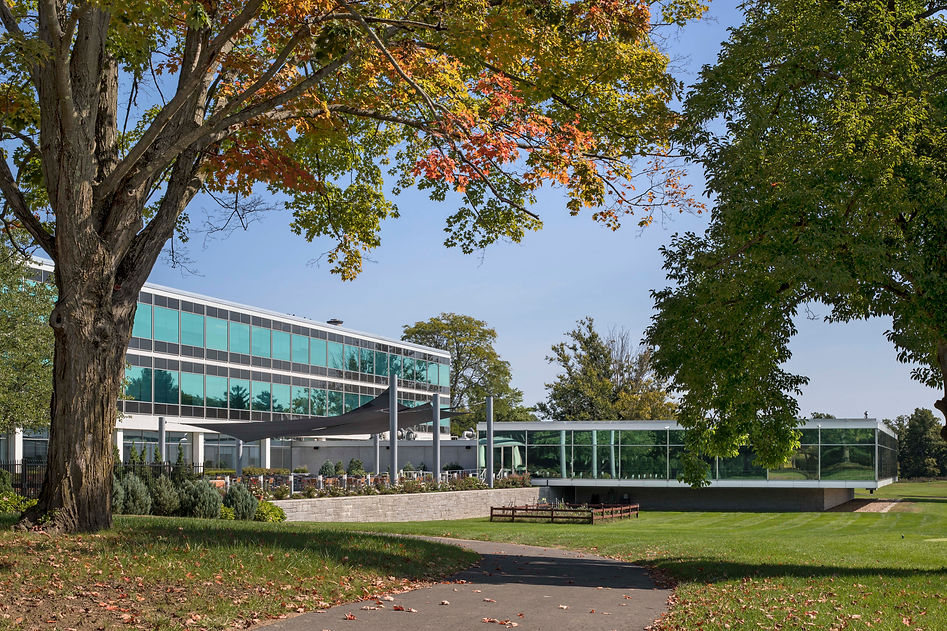 CignaCafe 04 - Canopy Garden.jpg