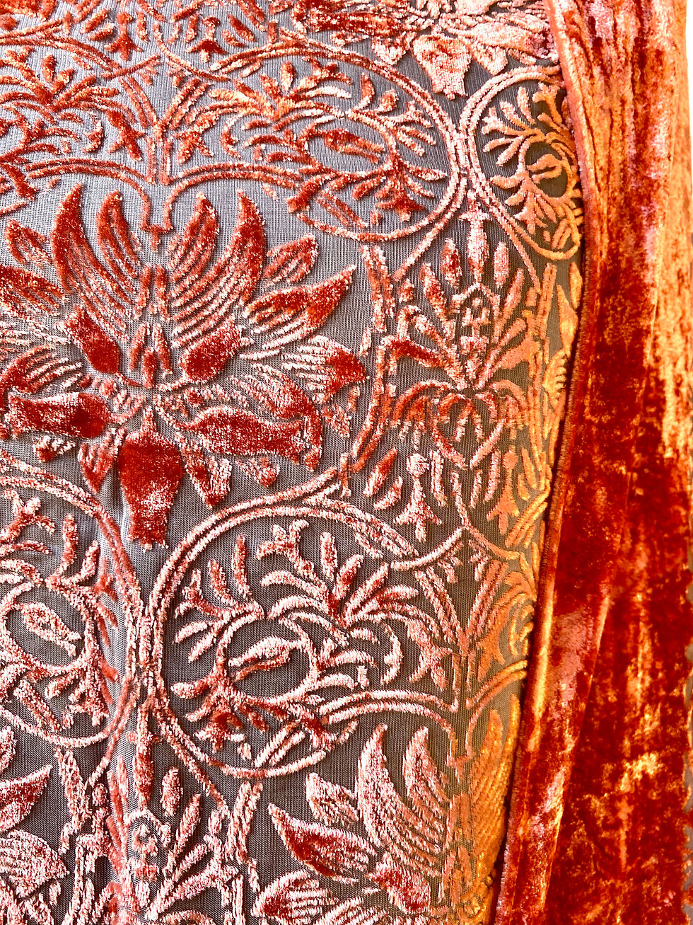 Miniature : Velours "Dentelle" - Les différents Roses