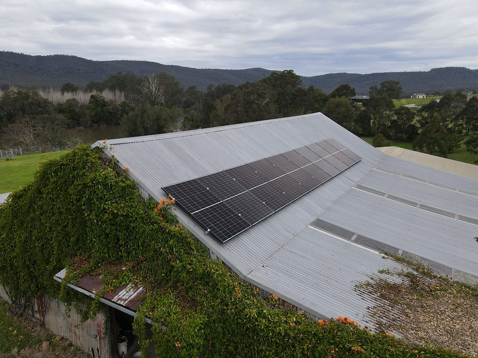 WhatsApp Image 2026-02-24 at 16.25.07