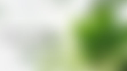 Comment communiquer sa certification EcoVadis après une évaluation ?