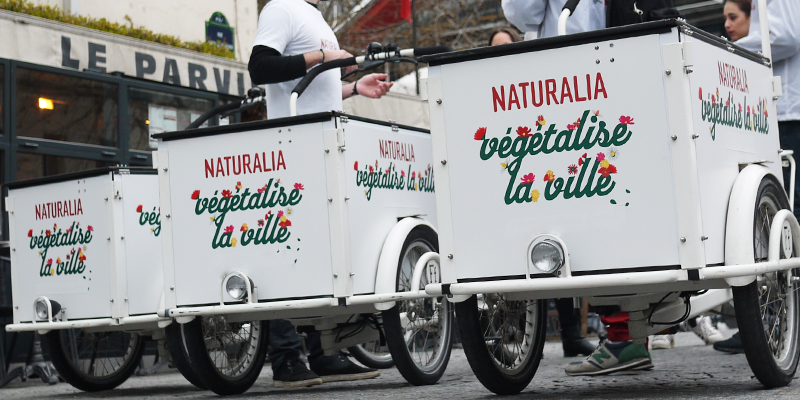 6-Triporteur-NATURALIA