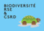 Une tortue