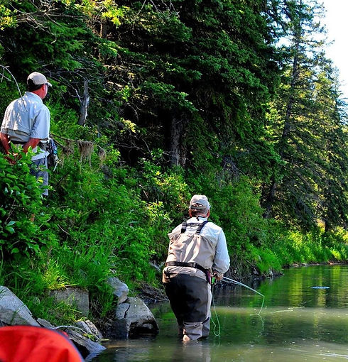 dry fly fishing on the bow river