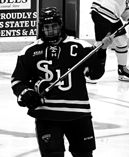 LUC SALEM