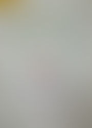 Perfil de quien realiza las tareas de Orientación y Vinculación