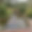 Thumbnail: Teichgitter "Wellen"