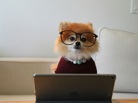 Les 10 compétences d’un bon correcteur professionnel
