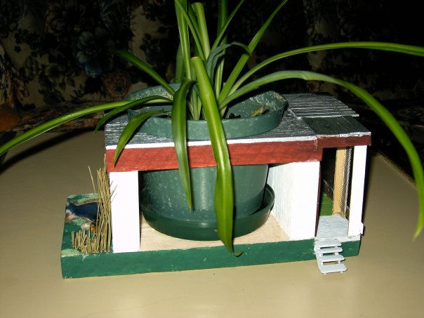 Plant holders 1