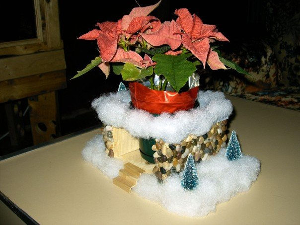 Plant holders 3