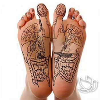 Curso-de-Reflexoterapia-método-Chinês-co