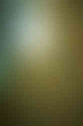 000572_PEP_SPG_20250128