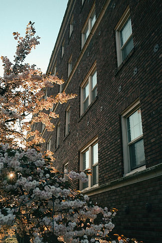 Olympic Apartments