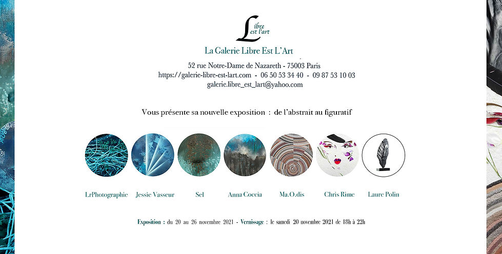vernissage expo galerie "Libre est l'art", de l'abstrait au figuratif. L'expo dure 2 semaines.