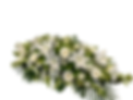 IMG_1706.PNG