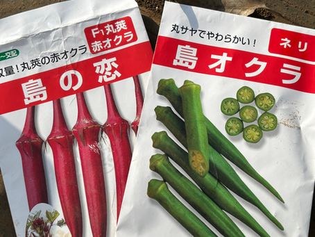 島オクラ