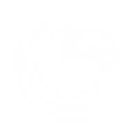 nexarium logo-disi.png