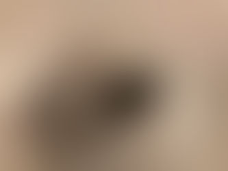 Dewalt + Monday= True?