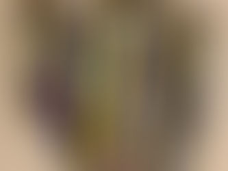 Vi vann SHS' SM 2022!