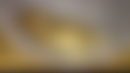 Måste man ha hjul till sin hamster?