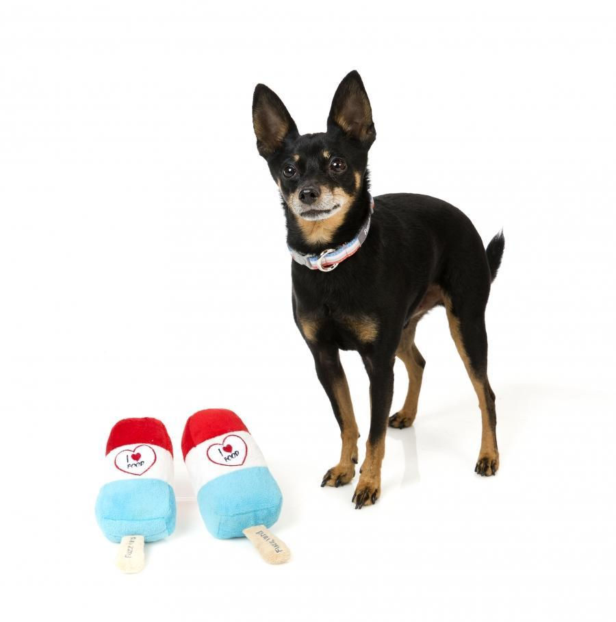 Thumbnail: FuzzYard Popsicle Dog Toy