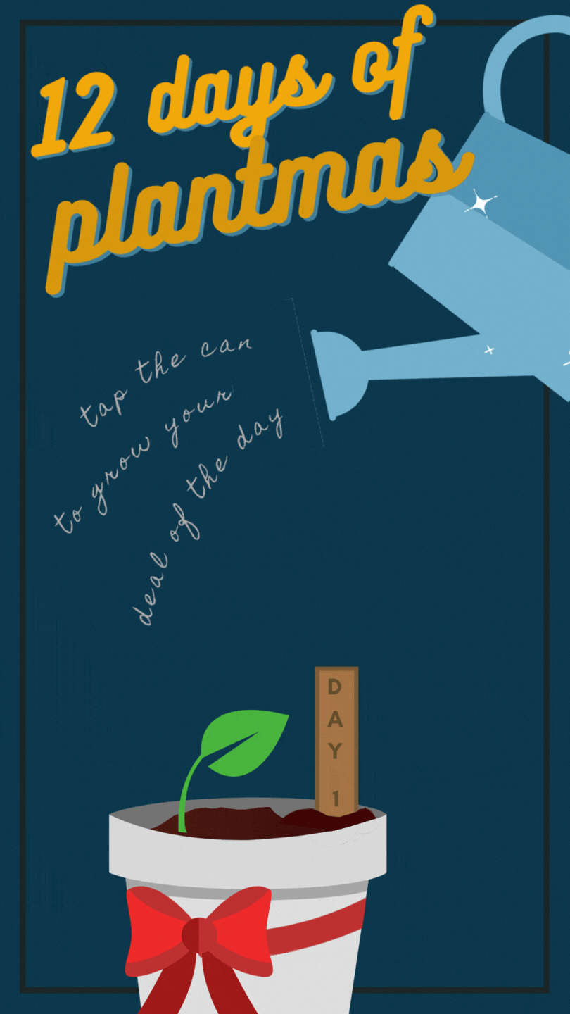 Plantmas Final Template SAMPLE 3_3.gif