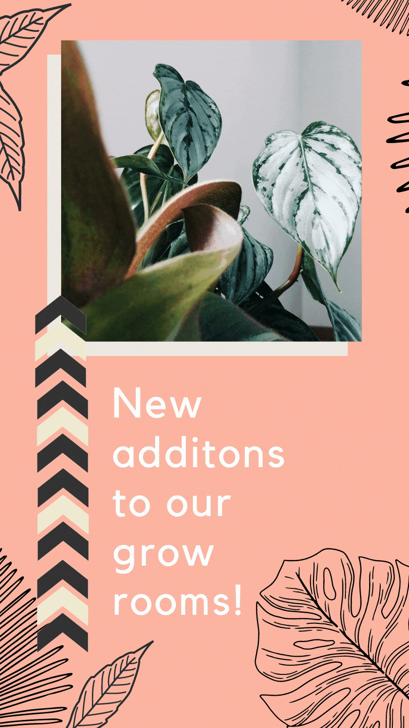 NEW NEW NEW NEW NEW NEW NEW NEW.gif