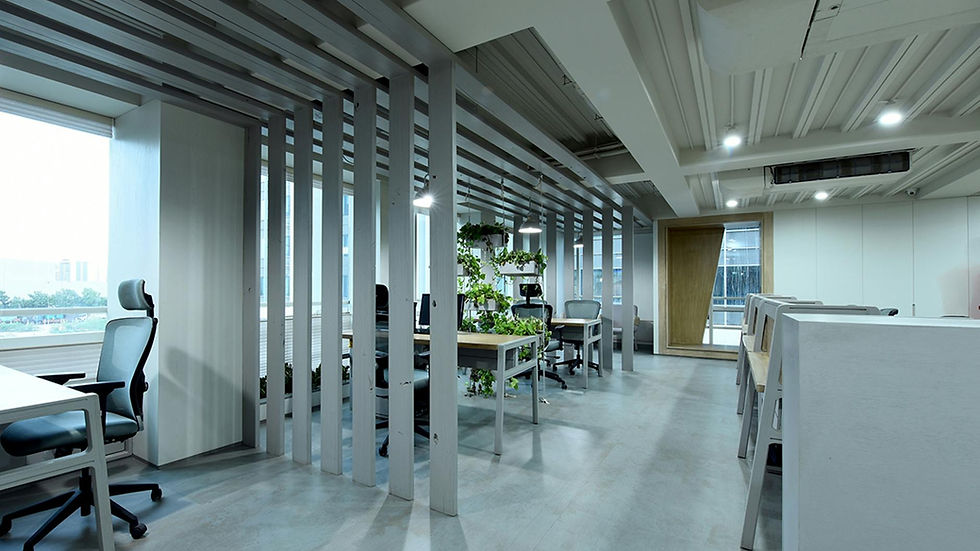 Spacious modern office in Ahmedabad with an open design and indoor plants.