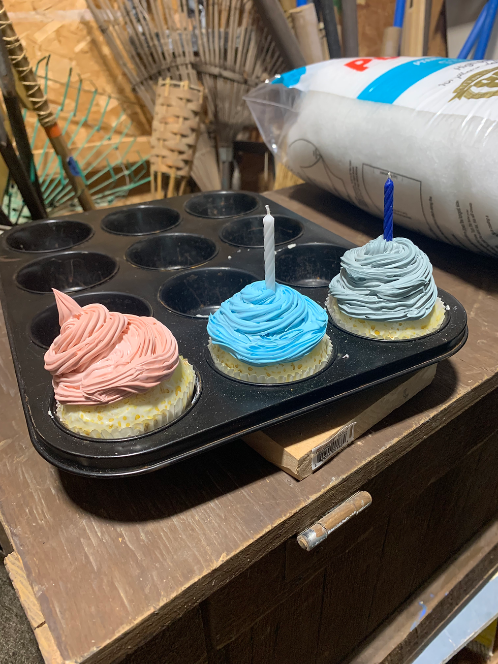 Ride The Cyclone- Cupcakes
