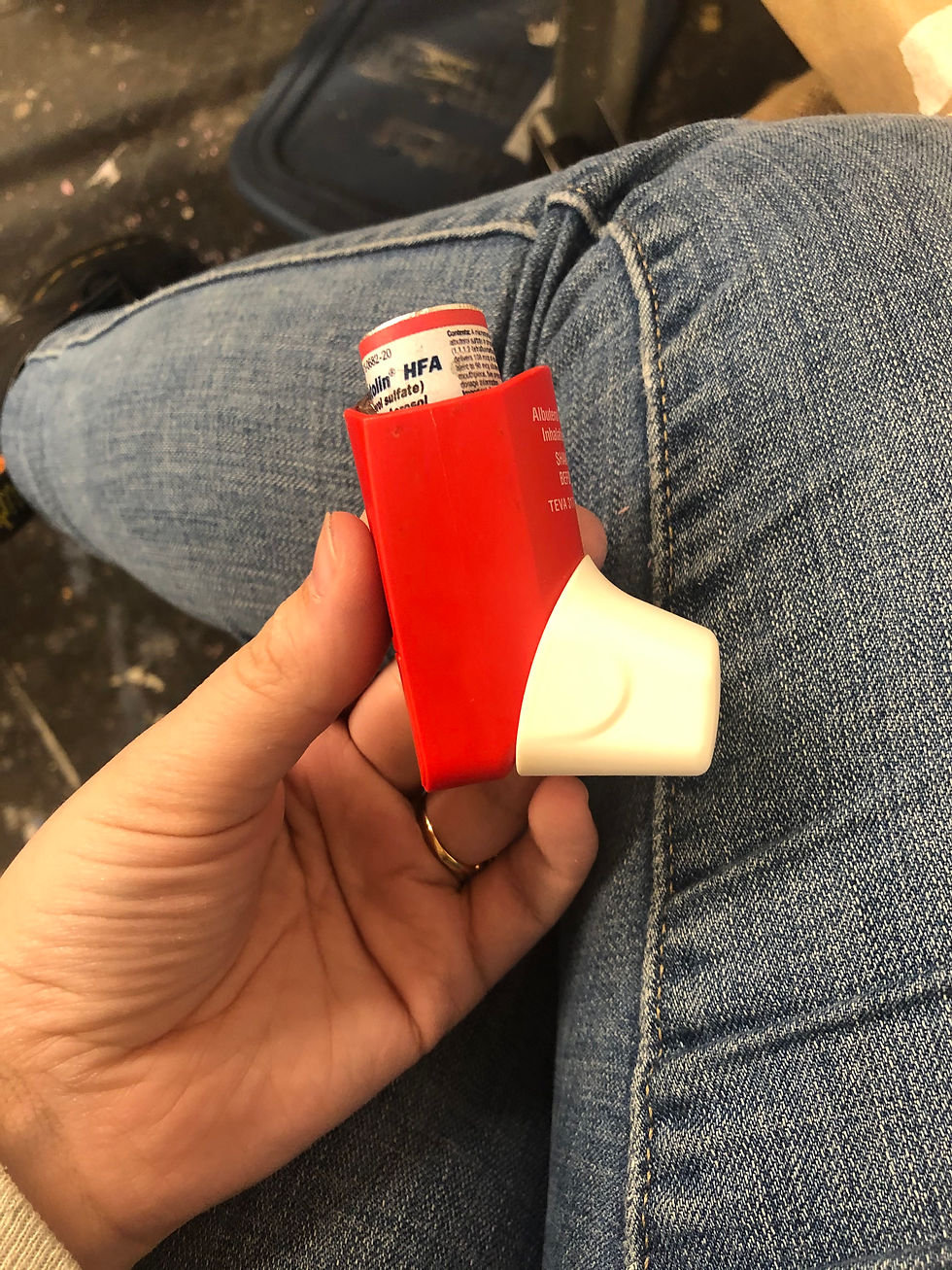 Fake Inhaler- The Wolves