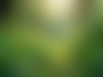 The Importance of Sustainable Living in Today's World